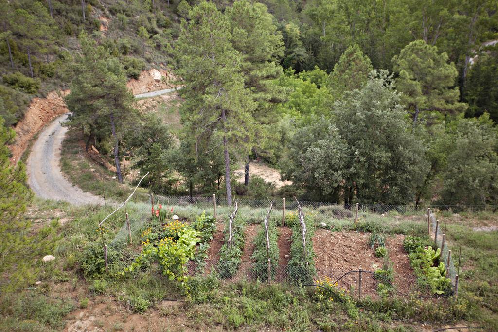 Masia Ca L'Anima Hotel La Baronia de Rialb Cameră foto