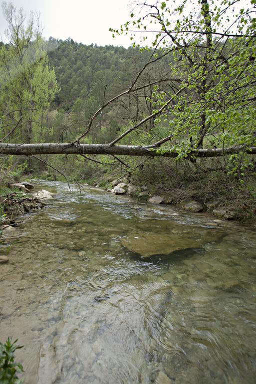 Masia Ca L'Anima Hotel La Baronia de Rialb Cameră foto