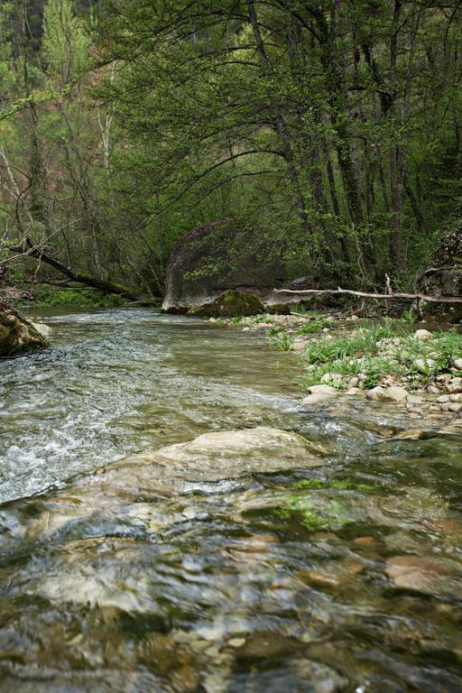 Masia Ca L'Anima Hotel La Baronia de Rialb Cameră foto