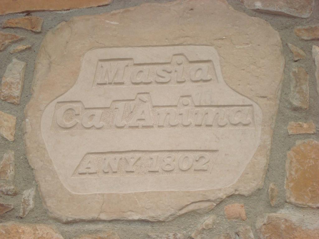 Masia Ca L'Anima Hotel La Baronia de Rialb Cameră foto